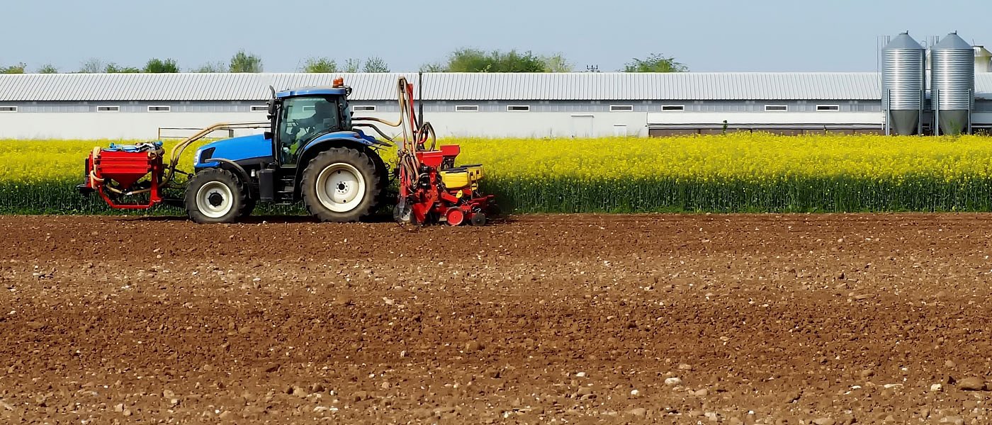 Πρόταση λίπανσης για την καλλιέργεια της ελαιοκράμβης