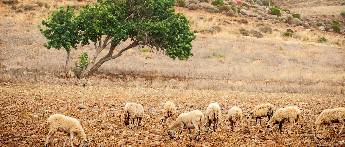 Δέκα ημέρες ακόμα περιθώριο για ενστάσεις επί της πληρωμής της εξισωτικής