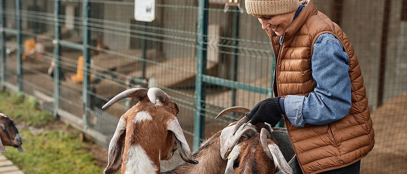 Ο αφθώδης πυρετός είναι εξαιρετικά μεταδοτικό νόσημα και πρέπει να γίνονται έλεγχοι