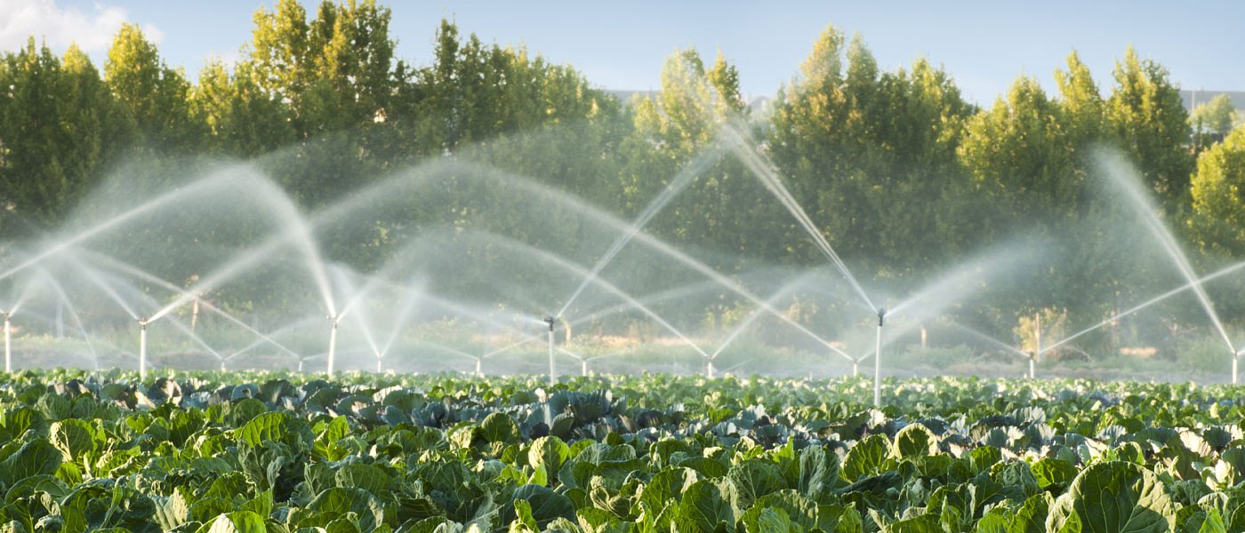 Προχωρά η επανενεργοποίηση του ΓΟΕΒ Πεδιάδος Αργοναυπλίας