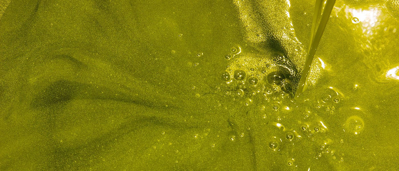 Παγκρήτιο παρατηρητήριο τιμών ελαιολάδου ετοιμάζει η Ένωση Ηρακλείου