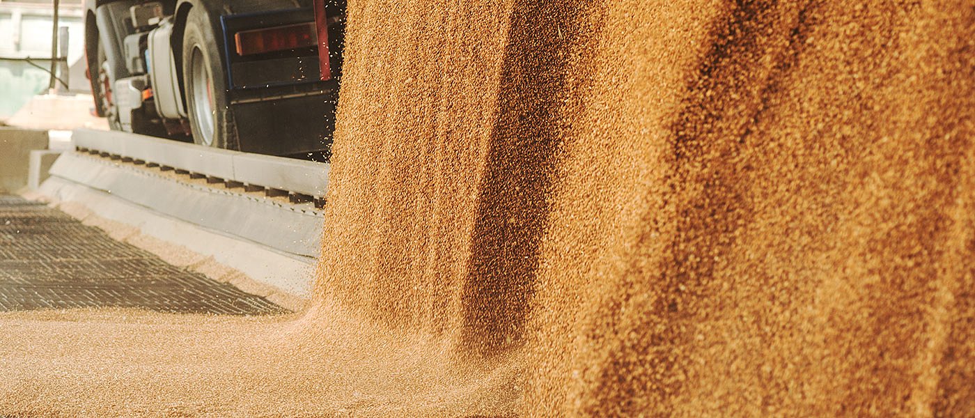 Μακροχρόνιες προβλέψεις σιτηρών στην ΕΕ, οι τιμές που αγόρασε τον Δεκέμβριο η Τυνησία