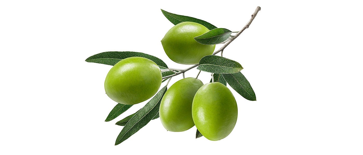 Ακαρπία τσακίζει παραγωγή βρώσιμων ελιών, μείωση πάνω από 90% και φτάνει έως μηδενική