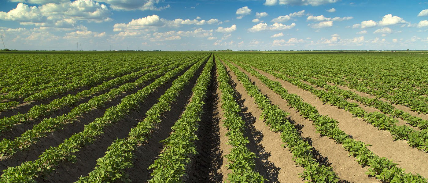 Πρόγραμμα μείωσης νιτρορύπανσης: Εγκύκλιος για παράταση αιτημάτων μεταβίβασης