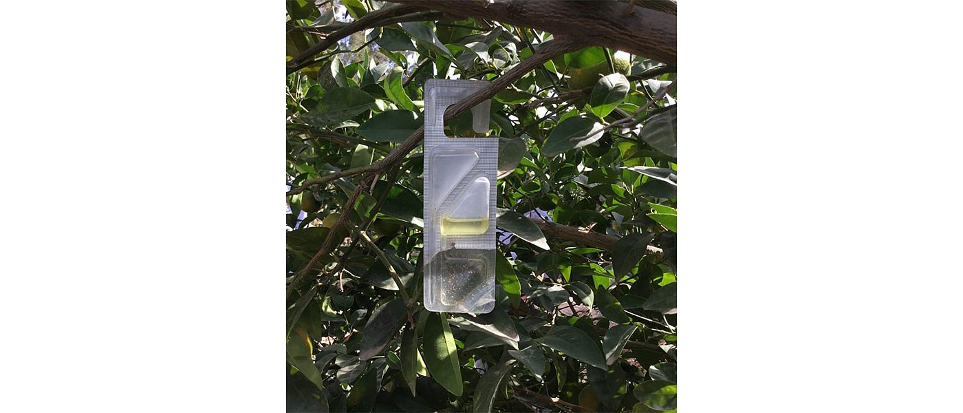Η Bayer παρουσιάζει το Vynyty Citrus®