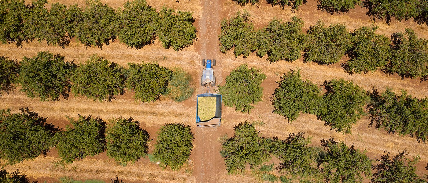 Απαντήσεις ΟΠΕΚΕΠΕ για ελέγχους μέσω monitoring, ανοίγει ξανά το ΟΣΔΕ μετά τις πληρωμές