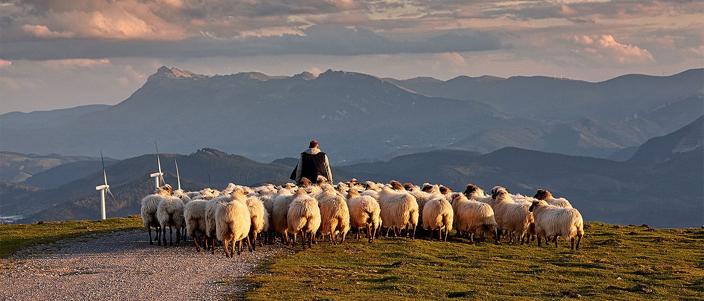 Στο ΦΕΚ η εκπόνηση διαχειριστικών σχεδίων βόσκησης, τι θα περιλαμβάνει το έργο