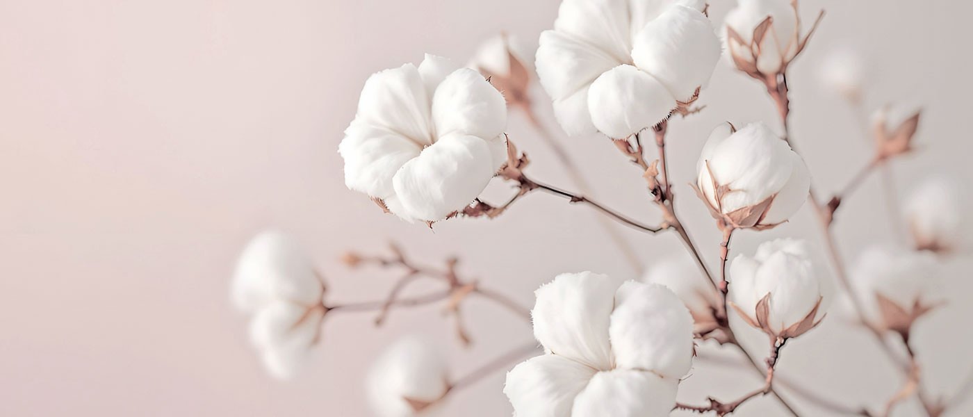 5ο Πανελλήνιο Συνέδριο για το Βαμβάκι στις 14 Μαρτίου