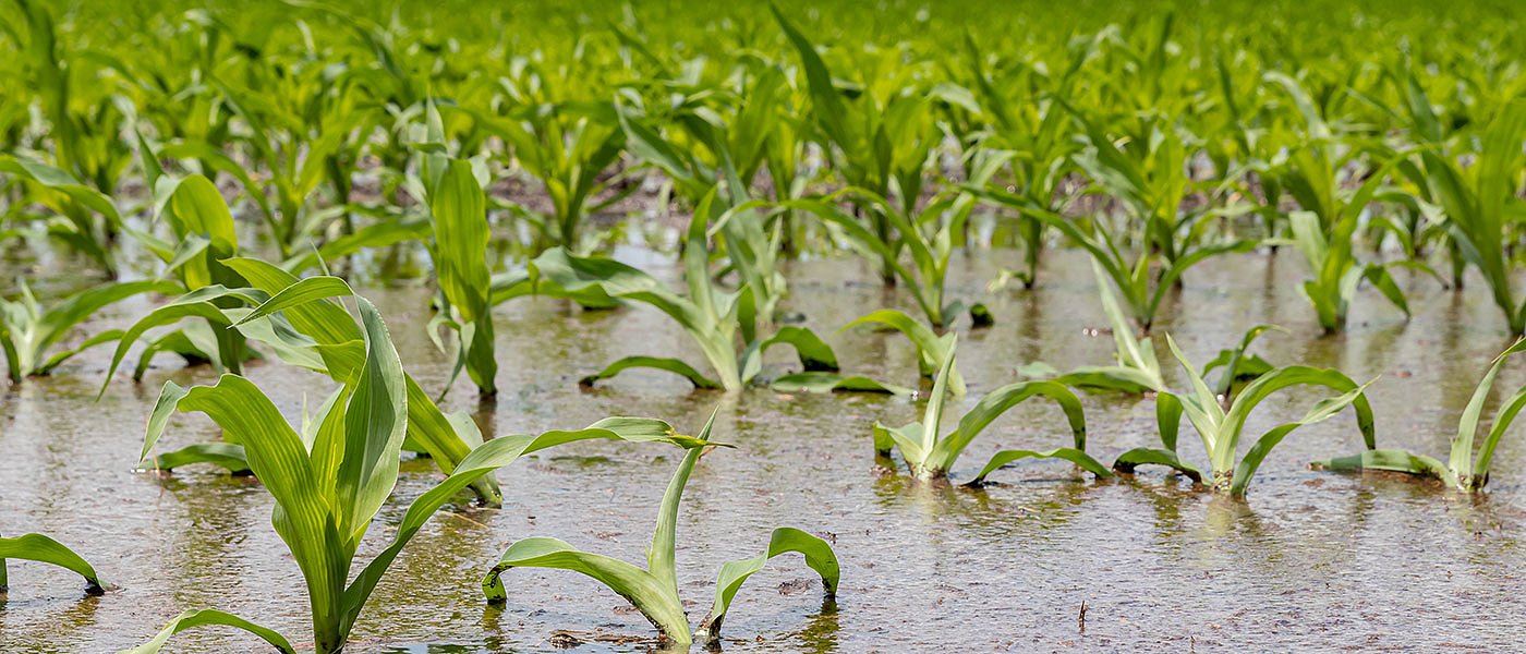 Θολό τοπίο παραμένει μετά από 2 μήνες με τις αποζημιώσεις πλημμυροπαθών της Θεσσαλίας