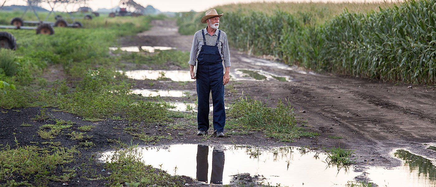 Χάθηκε ο λογιαριασμός στις αποζημιώσεις λόγω Daniel, εξαφανίστηκαν 5.000 δηλώσεις ζημιάς