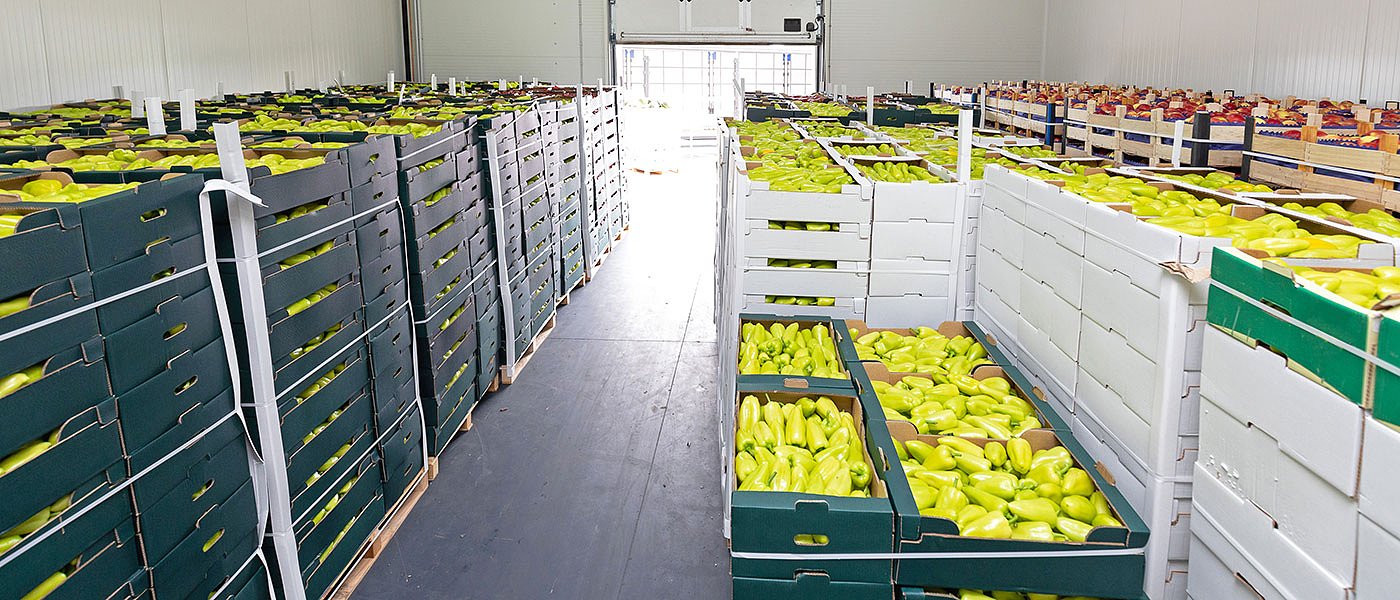 Ηλίας Σμυρλής: από την παραγωγή στην εμπορία αγροτικών προϊόντων