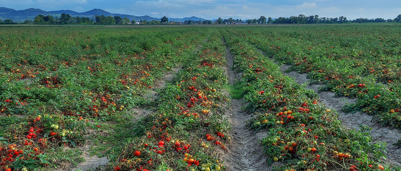 Συνεργασία Bayer Ελλάς και Δ. Νομικός