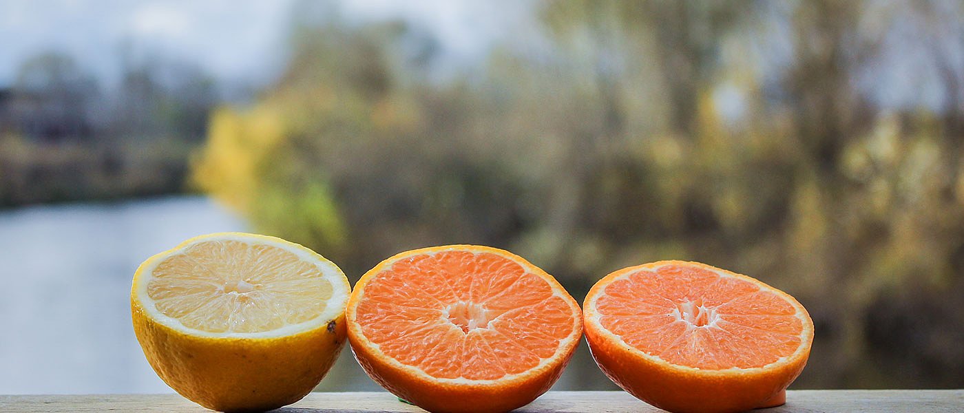 Τα μεγάλα ποσοστά ακαρπίας εσπεριδοειδών καίνε την Αργολίδα