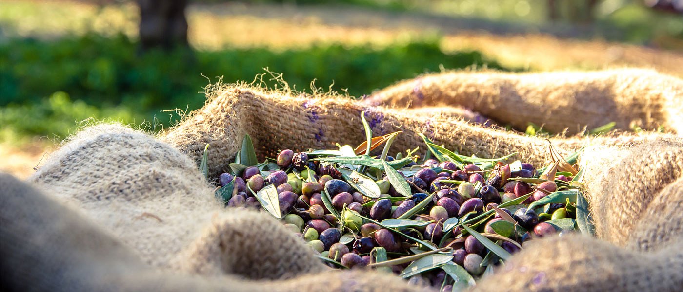 Προς απορρόφηση από την Ένωση Αγρινίου η ΕΑΣ Άμφισσας