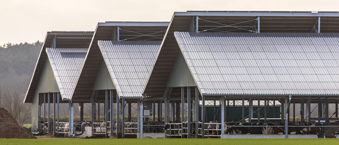 Πάμε για απλοποίηση αδειοδότησης κτηνοτροφικών εγκαταστάσεων και υδατοκαλλιεργειών