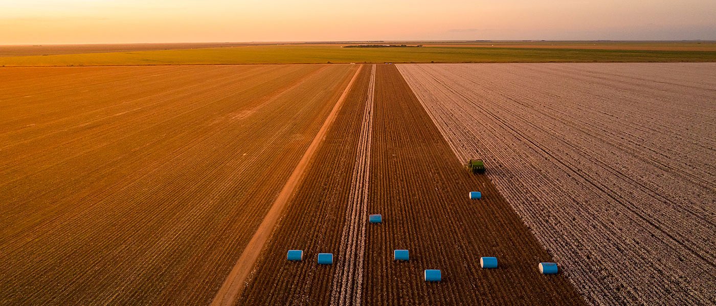 Ανακοινώθηκαν οι πρώτες τιμές για το βαμβάκι της φετινής περιόδου, προβλέψεις για παγκόσμια παραγωγή