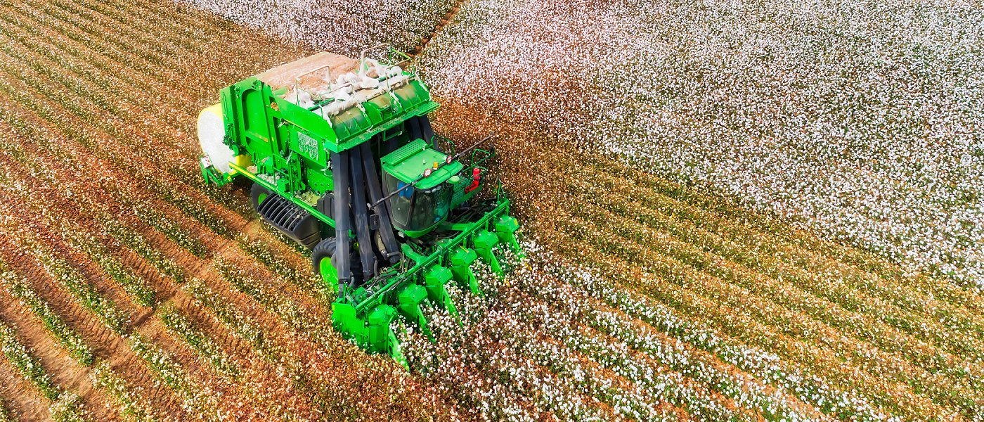 Ξεκίνησε παραλαβές βαμβακιού ο Ενιπέας με τιμή ημέρας σήμερα στα 41 λεπτά στο χωράφι