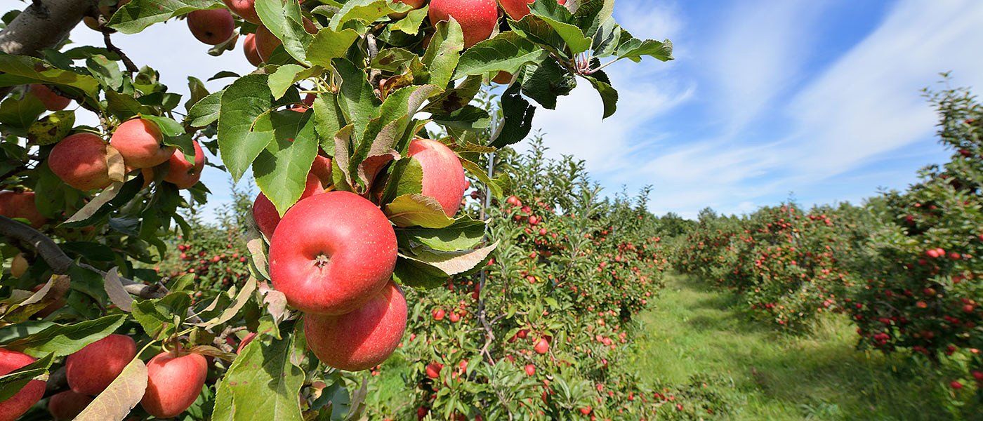 Στήριξη ζητούν οι αγρότες για αυξημένο κόστος, μειωμένες τιμές και φυσικές καταστροφές