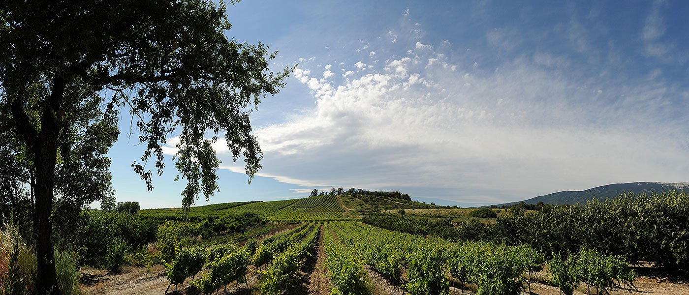 Γεωπόνοι Κεντρικής Ελλάδας: Να στηρίξει το ΓΕΩΤΕΕ τη νέα ρύθμιση για δασικούς χάρτες