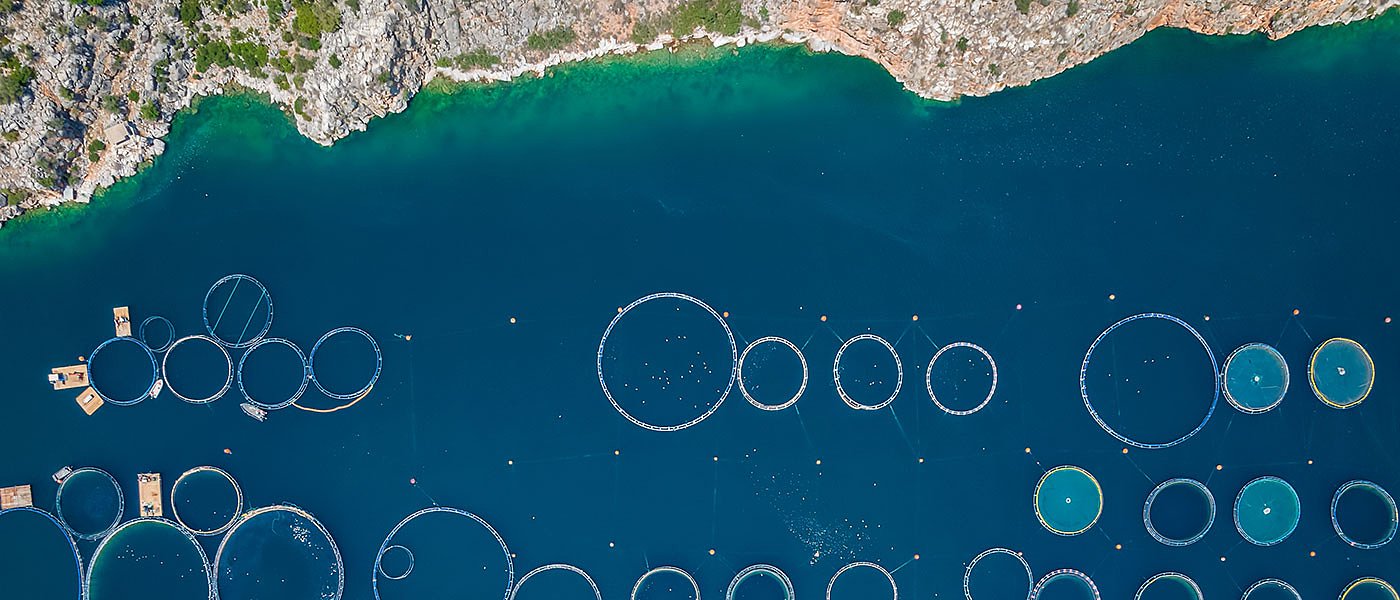 Θεσμικό πλαίσιο για επισκέψιμες υδατοκαλλιέργειες στην Ελλάδα