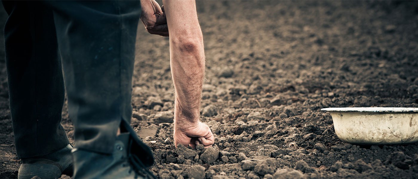 Πώς θα γίνει η εκκαθάριση εισφορών ΕΦΚΑ αγροτών με παράλληλη απασχόληση