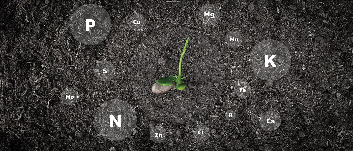 Ξεκινούν Τρίτη (15/11) αιτήσεις για ενίσχυση λιπασμάτων, ποιοι δικαιούχοι