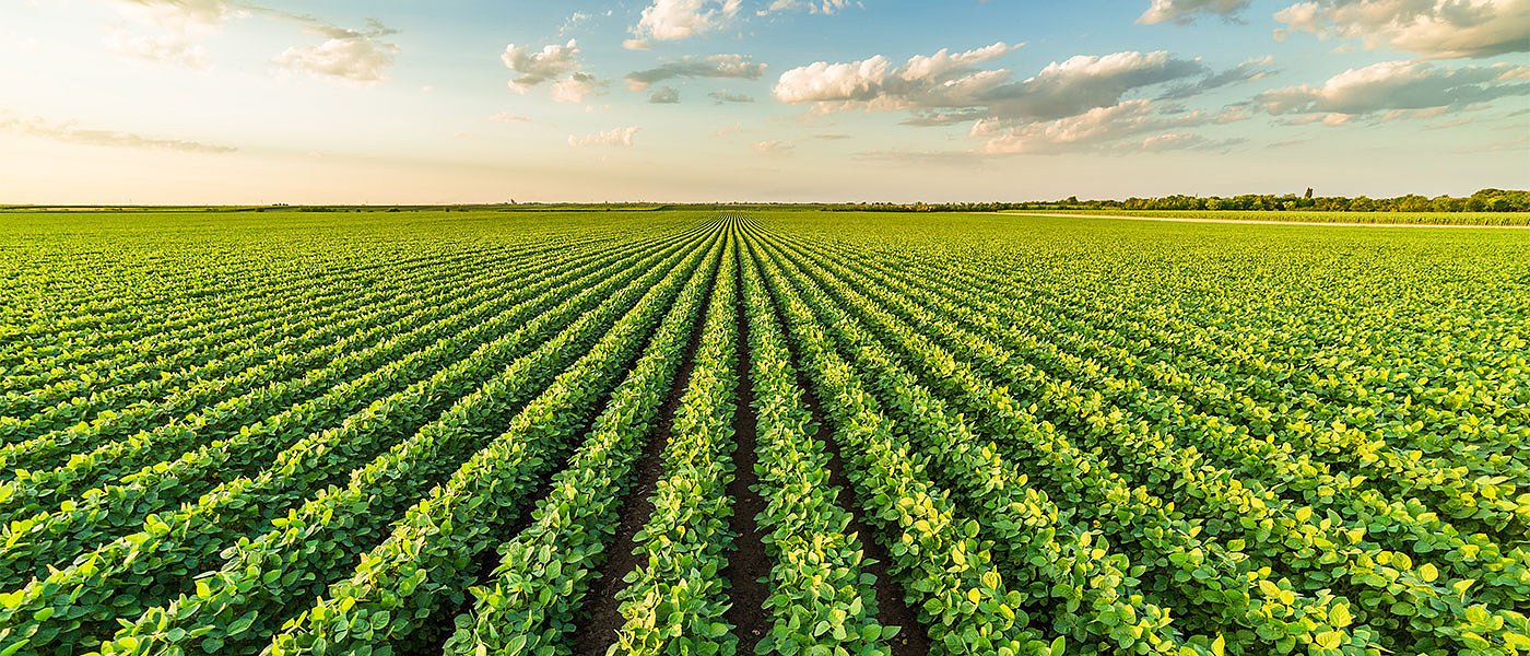 Πριμ για χρήση οργανικών λιπασμάτων και παραγωγή compost θα δίνει η νέα ΚΑΠ