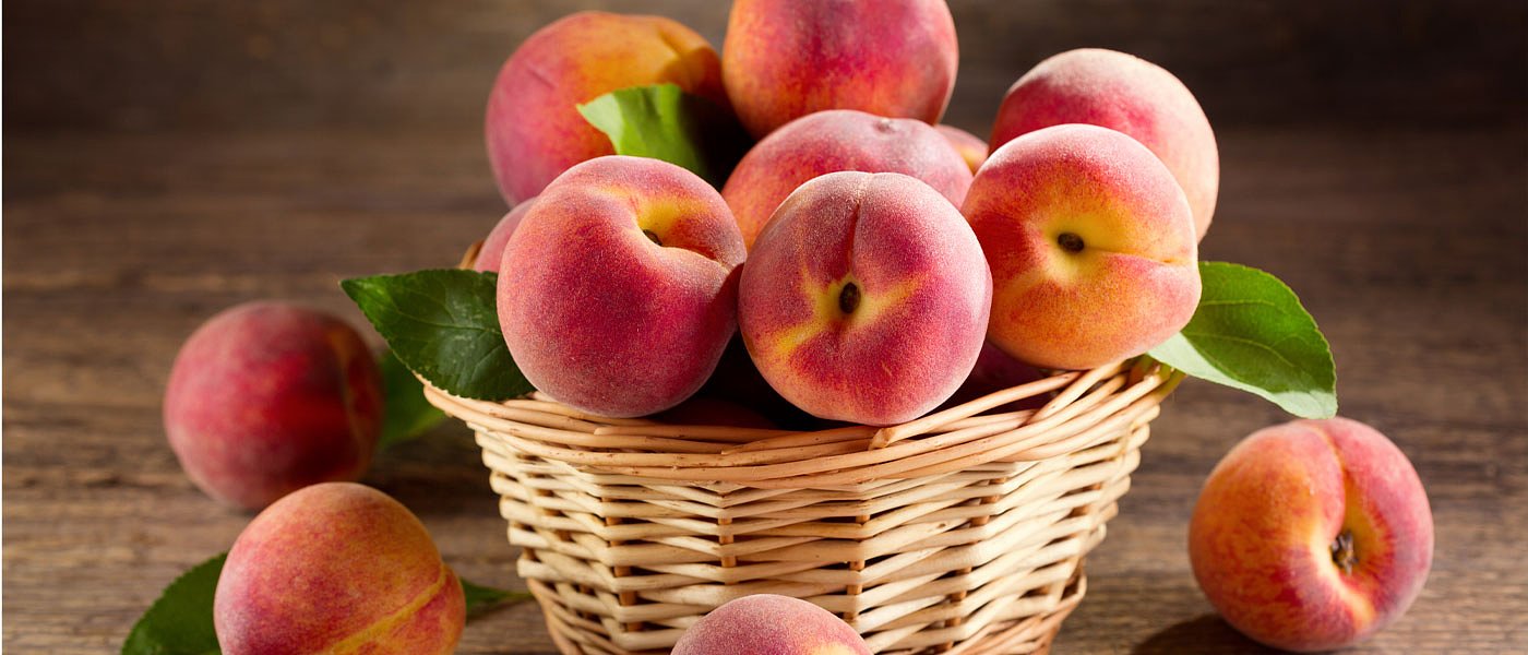 Υπόγραψε ο Πούτιν παράταση στο ρώσικο εμπάργκο, βουλιάζουν εξαγωγές προς τρίτες χώρες