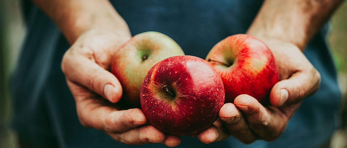 Φουζικλάδιο: Στο 56,22% ανέρχεται το ποσοστό ζημιάς στην παραγωγή μήλων της Πέλλας