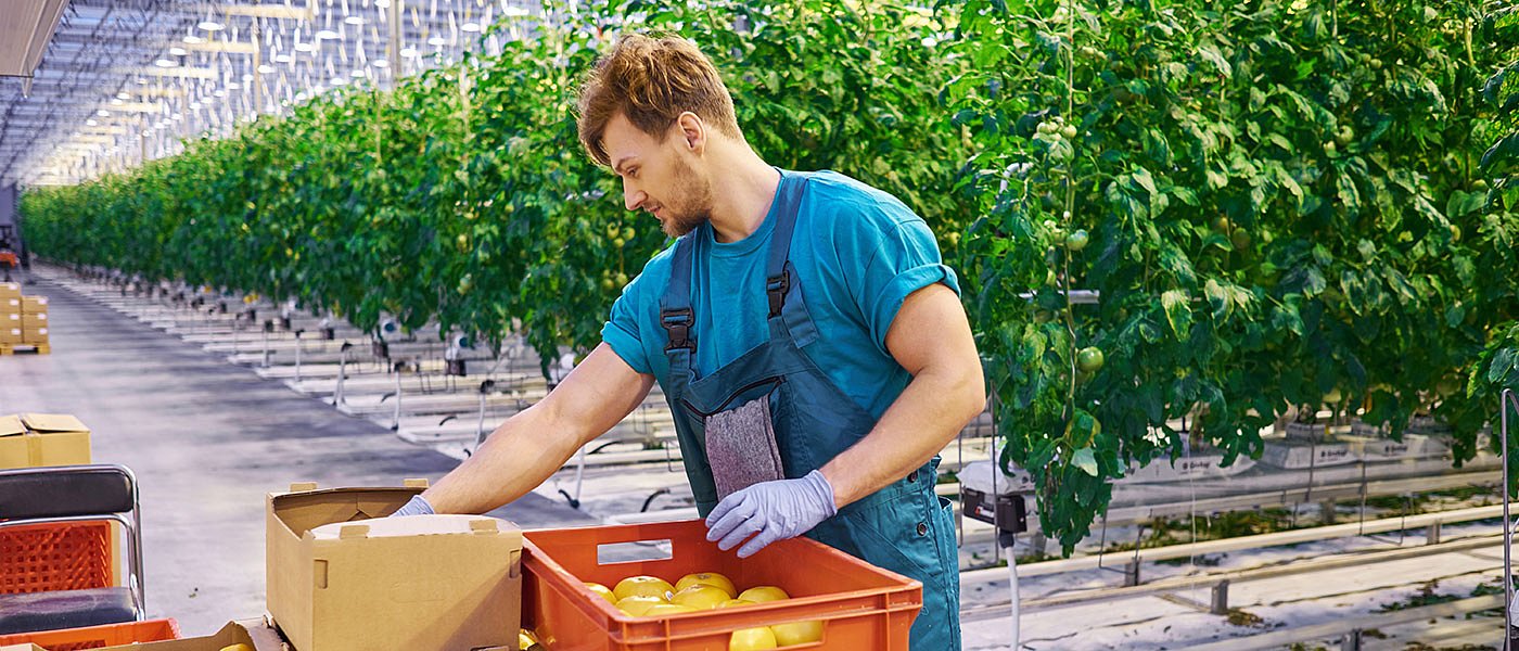 Αυτή είναι η διαδικασία πληρωμής για το πρόγραμμα Νέων Γεωργών, εγκύκλιος Μελά