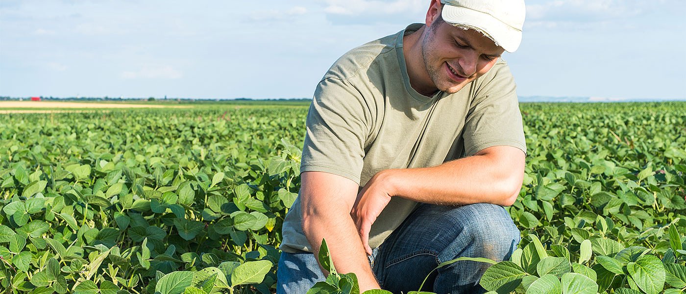 Πάνε πίσω οι πληρωμές ΟΠΕΚΕΠΕ, ψάχνουν κονδύλια να πληρώσουν τα Οικολογικά