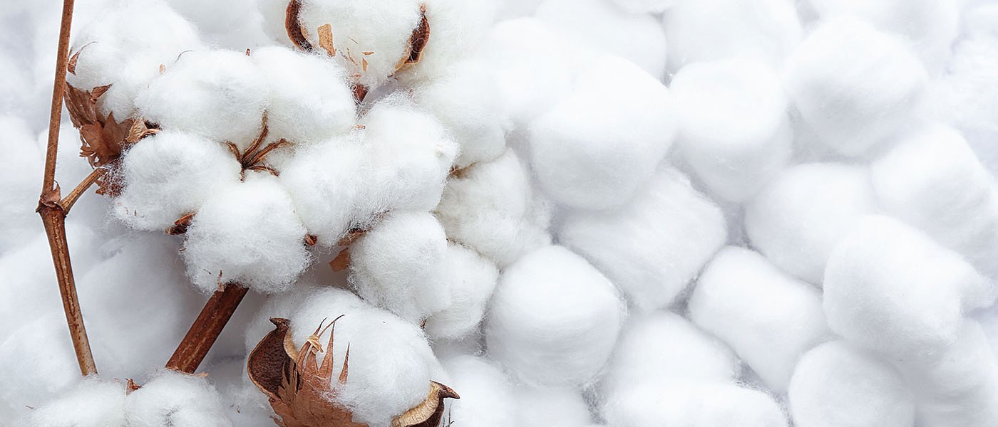 Καταχώρηση ποσοτήτων για πληρωμή ειδικής ενίσχυσης στο βαμβάκι