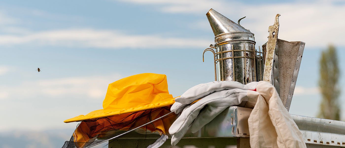 Παγκόσμια Ημέρα Μέλισσας: Αυξημένες εισαγωγές στην ΕΕ το 2023