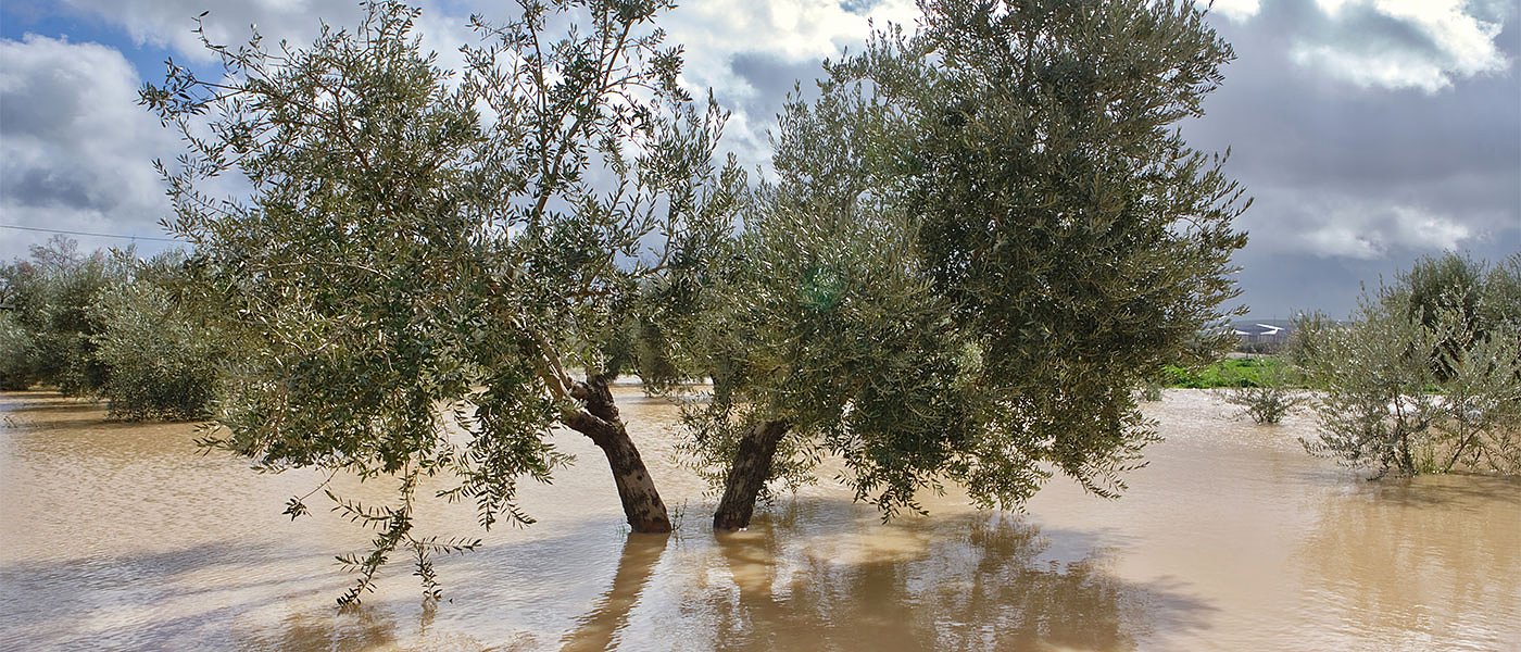 Αυτά είναι τα μέτρα για όσους επλήγησαν από τις πρόσφατες πλημμύρες