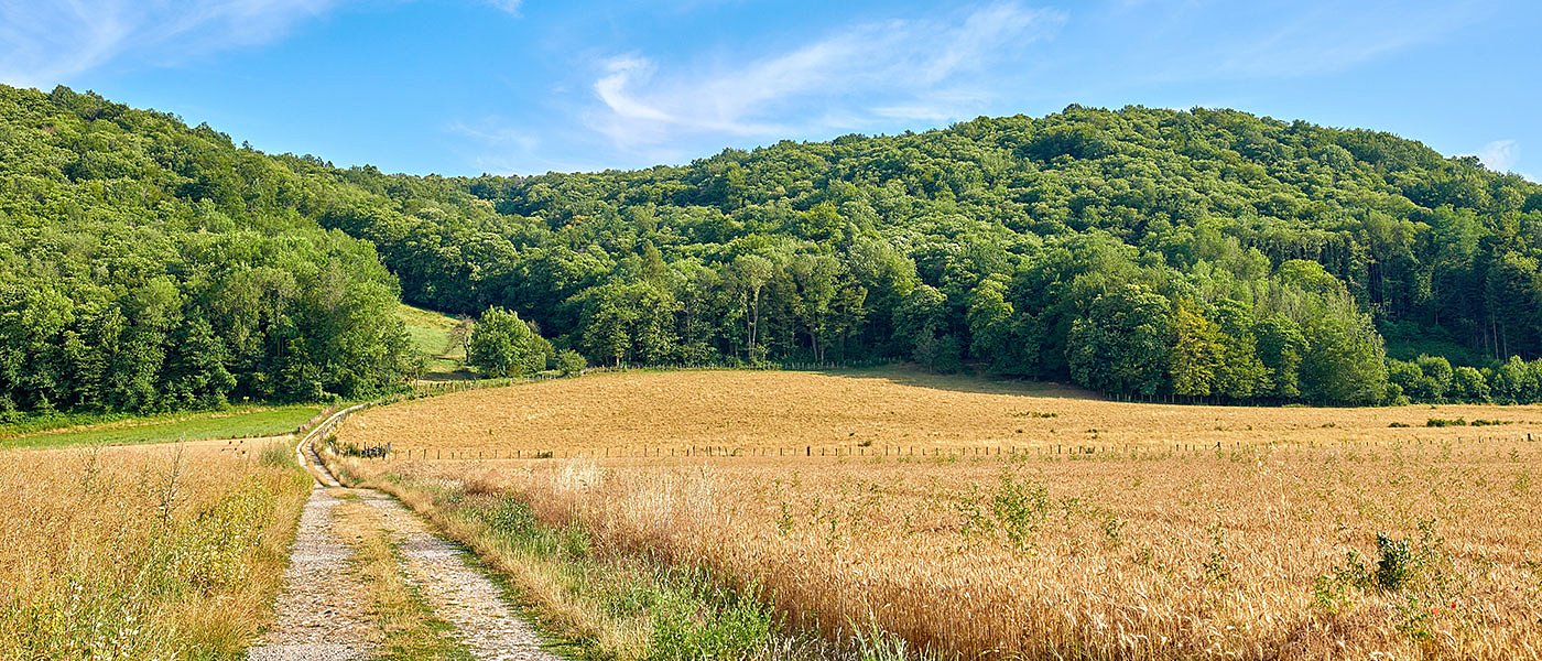 Μέχρι 19 Φεβρουαρίου η δημόσια διαβούλευση για ευρωπαϊκό πλαίσιο στην ανθρακοδεσμευτική γεωργία (carbon farming)
