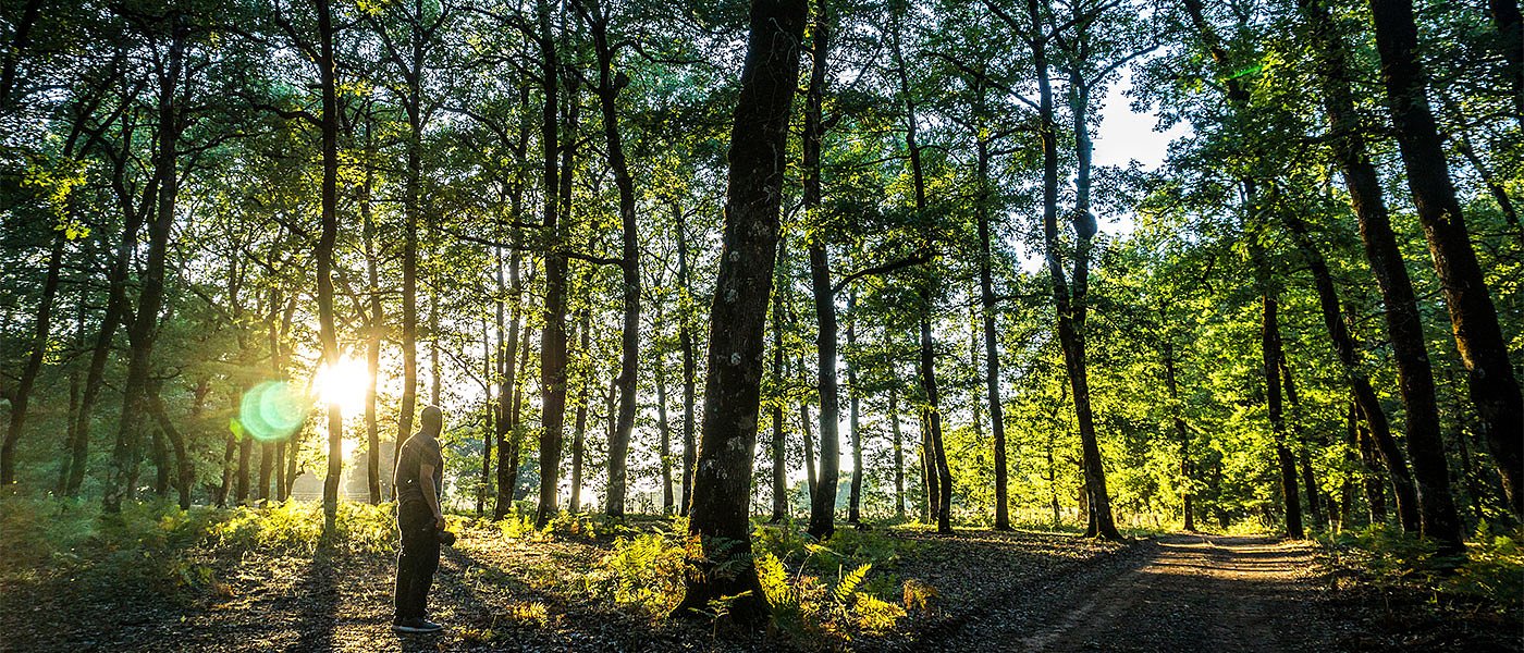 Η Κομισιόν δίνει 626 εκατομμύρια ευρώ στη Δανία για δάσωση αγροτικών γαιών