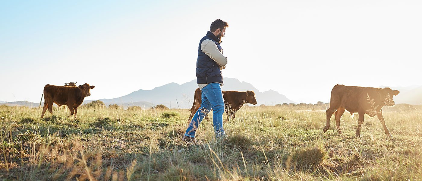 Επιτυχημένη ημερίδα ΓΕΩΤΕΕ για την παραδοσιακή κτηνοτροφία στην Αχαΐα
