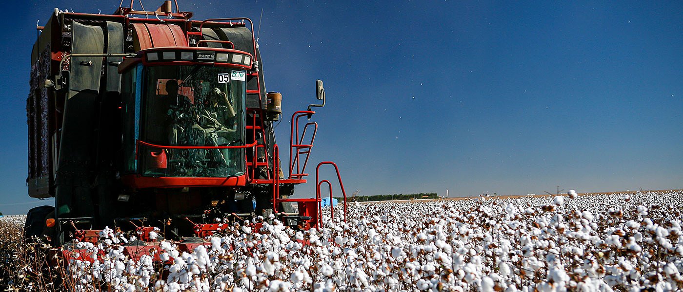 Προτάσεις για την συγκομιδή βάμβακος, πως θα χορηγηθεί η ειδική συνδεδεμένη