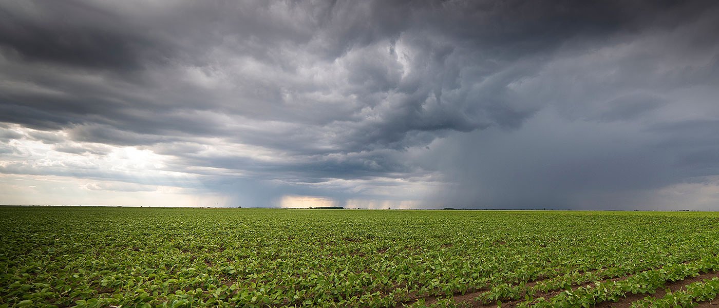 Ο νέος τιμοκατάλογος εισφορών ΕΛΓΑ για αγρότες και κτηνοτρόφους