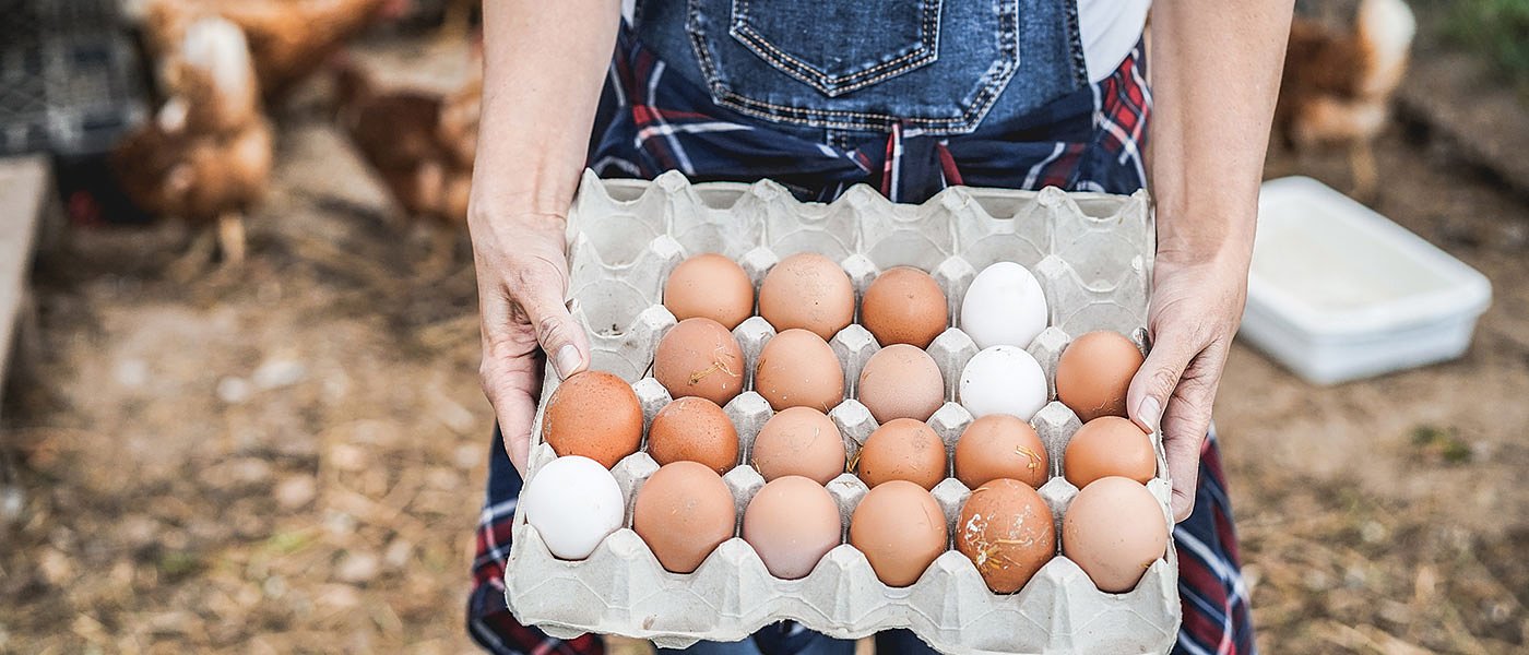 Επενδύσεις και ενίσχυση της παραγωγής, ζητά από ΥπΑΑΤ η Διεπαγγελματική Αυγού