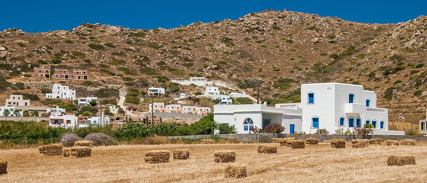Ανάγκη χάραξης αγροτικής πολιτικής για νησιώτες, μεγάλο πρόβλημα οι ζωοτροφές