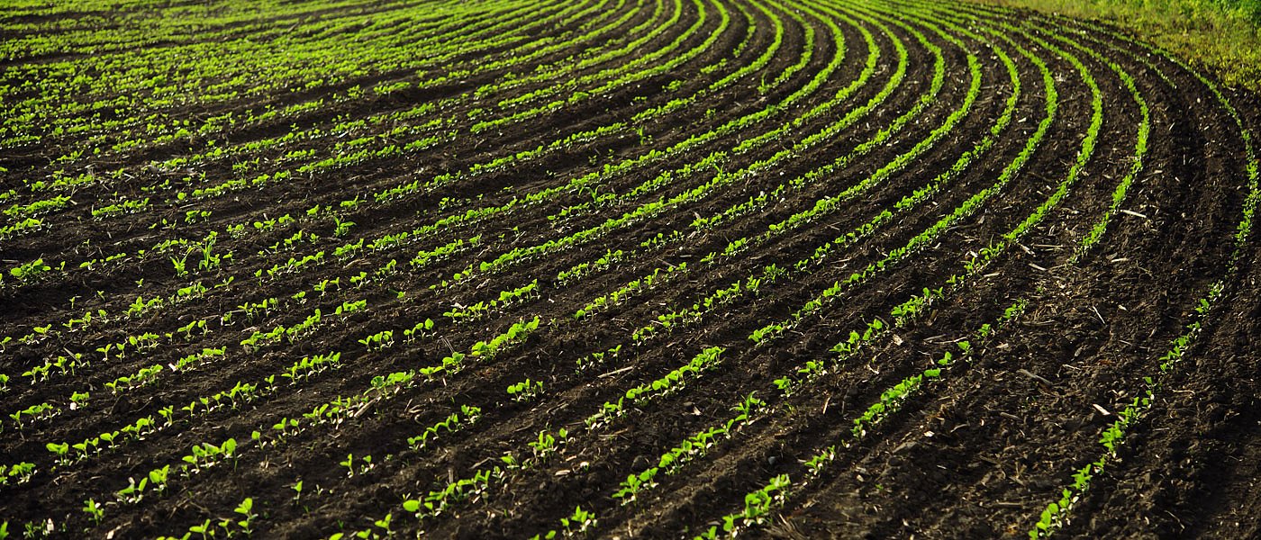 Καμιά αστοχία στην ανανέωση του χαρτογραφικού υποβάθρου Κυθήρων, λέει ο Λιβανός