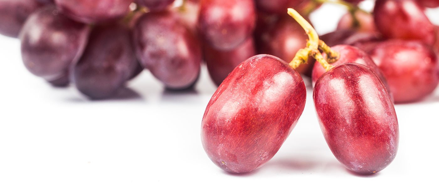 Εξώδικο κατά ΕΛΓΑ για λανθασμένες εκτιμήσεις ζημιάς στα σταφύλια