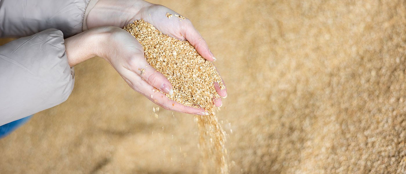 Στην 3η τροποποίηση της ΚΑΠ η κτηνοτροφική σόγια στο καθεστώς συνδεδεμένης