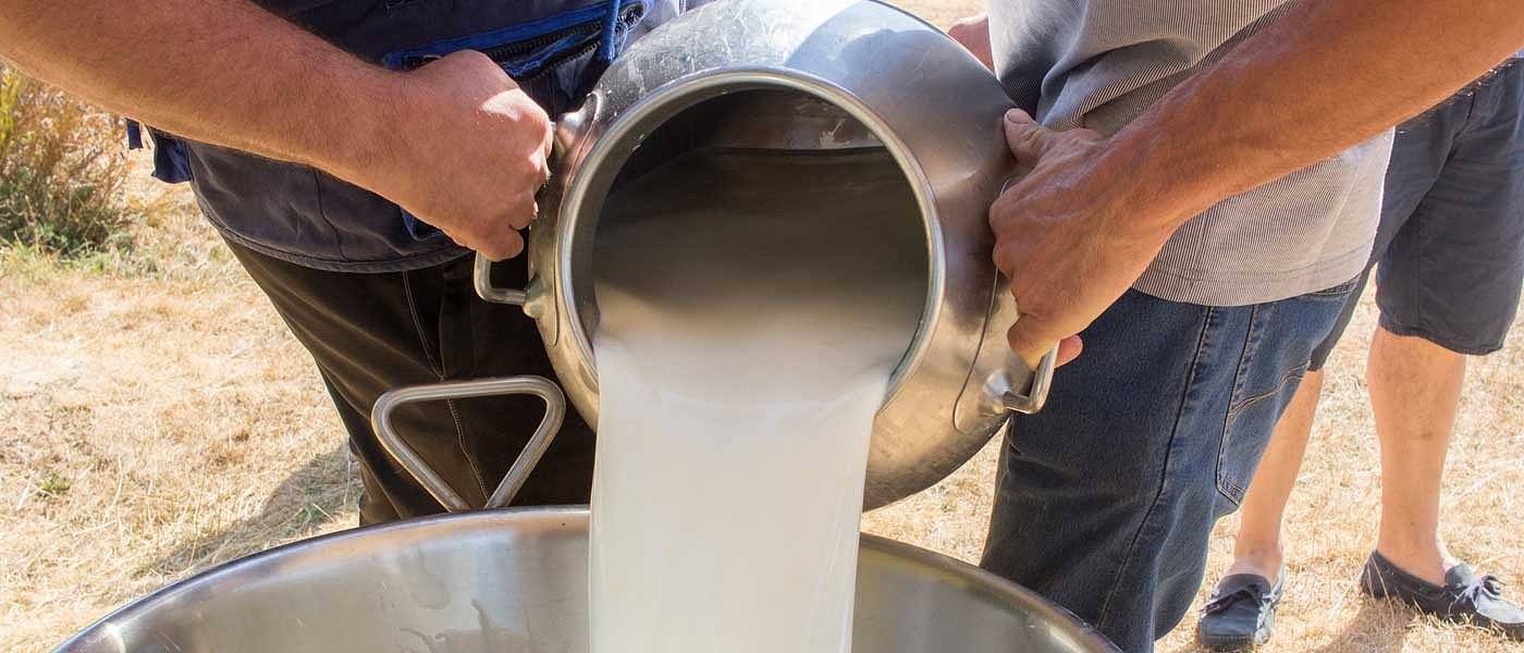 Σπάει κοντέρ ο Συνεταιρισμός Καλαβρύτων 1,15 ευρώ το κιλό το πρόβειο 0,70 το γίδινο