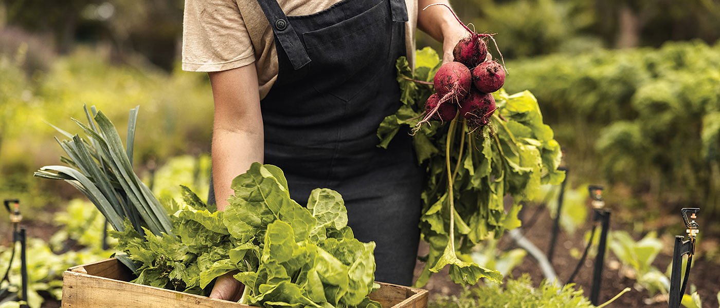 Αναζητούνται ευθύνες για έλλειψη σε εργάτες γης, οι αγρότες καταστρέφονται