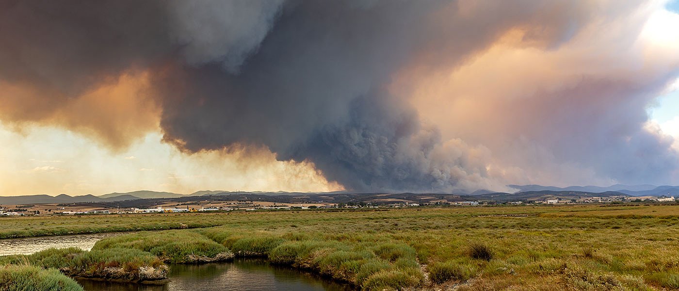 Έβρος: Κάηκαν πάνω από 4.000 ζώα 90 στάβλοι και 800.000 στρέμματα, πότε οι αποζημιώσεις