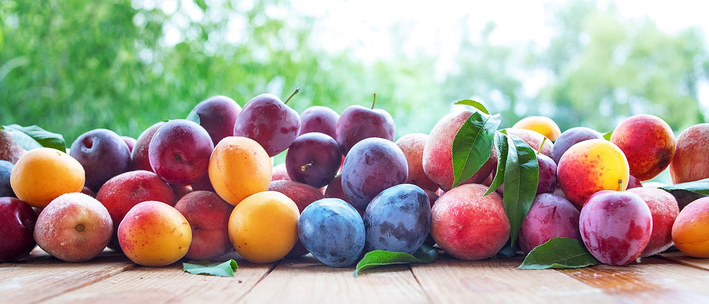 Με προίκα 9,5 εκ. το Ταμείο που φιλοδοξεί να σταθεροποιήσει το εισόδημα στα πυρηνόκαρπα