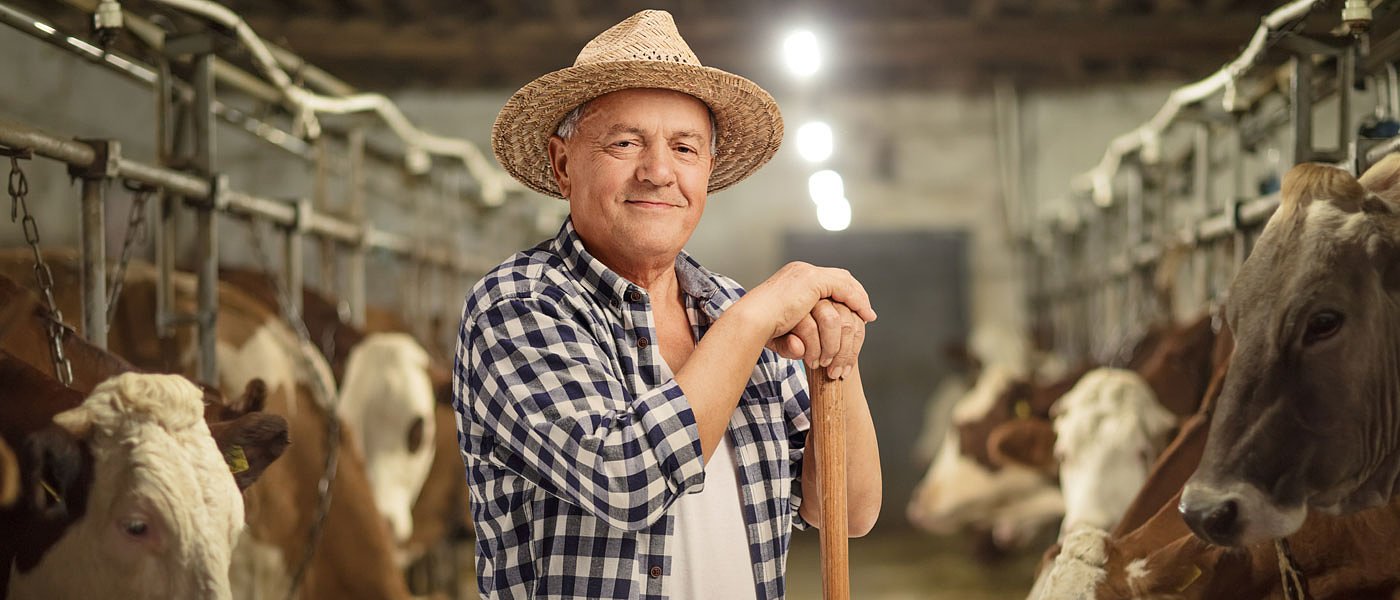 Έρχεται σε δημόσια διαβούλευση το νομοσχέδιο για στάβλους, τι θα περιλαμβάνει