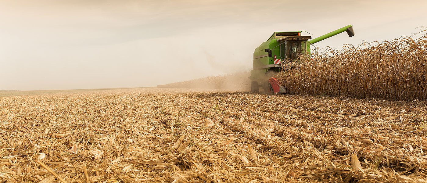 Με καπέλο φέτος τα κόστη για αλωνισμό σιτηρών και συλλογή βάμβακος, πόσο πάει το στρέμμα